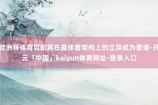 欧洲杯体育可知其在晶体管架构上的立异成为要道-开云「中国」kaiyun体育网址-登录入口